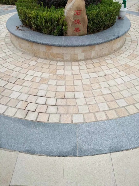 柏坡黃 
